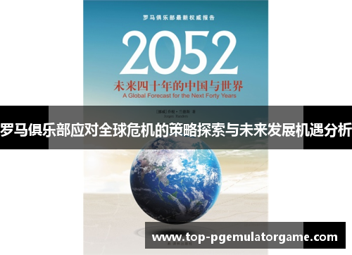 罗马俱乐部应对全球危机的策略探索与未来发展机遇分析