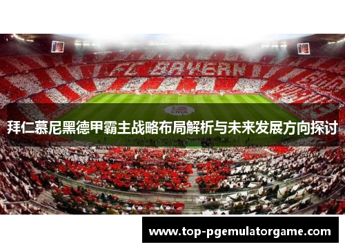 拜仁慕尼黑德甲霸主战略布局解析与未来发展方向探讨