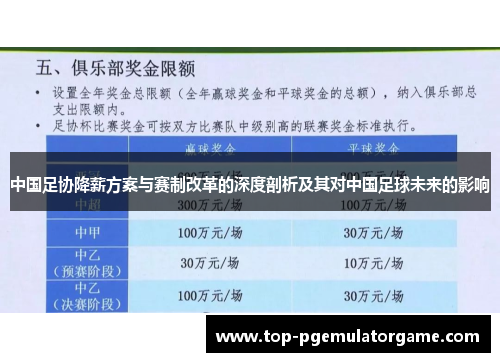 中国足协降薪方案与赛制改革的深度剖析及其对中国足球未来的影响
