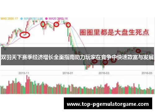 双羽天下赛季经济增长全面指南助力玩家在竞争中快速致富与发展