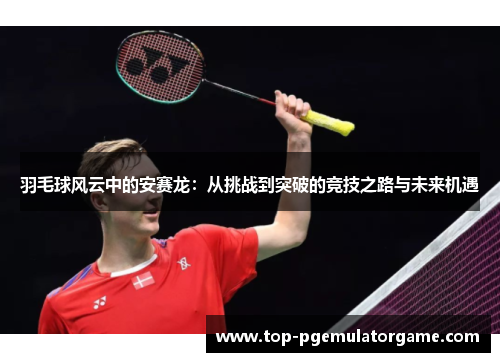 羽毛球风云中的安赛龙：从挑战到突破的竞技之路与未来机遇