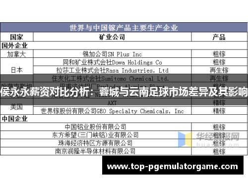 侯永永薪资对比分析：蓉城与云南足球市场差异及其影响