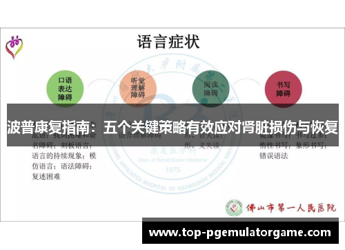 波普康复指南：五个关键策略有效应对肾脏损伤与恢复