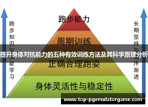 提升身体对抗能力的五种有效训练方法及其科学原理分析