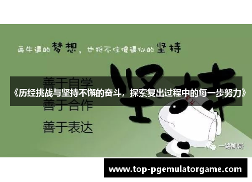 《历经挑战与坚持不懈的奋斗，探索复出过程中的每一步努力》