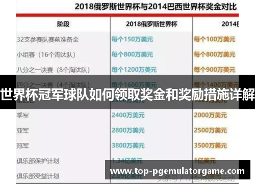 世界杯冠军球队如何领取奖金和奖励措施详解