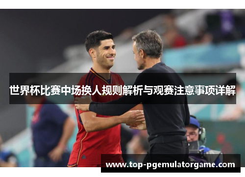 世界杯比赛中场换人规则解析与观赛注意事项详解