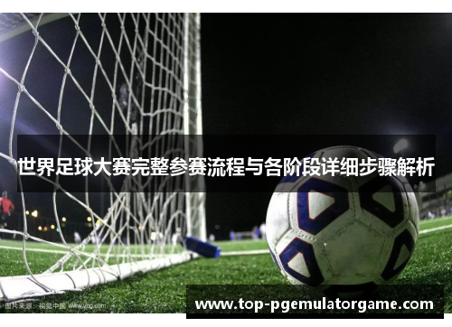 世界足球大赛完整参赛流程与各阶段详细步骤解析