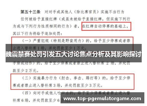 魏震禁赛处罚引发五大讨论焦点分析及其影响探讨