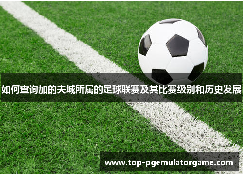 如何查询加的夫城所属的足球联赛及其比赛级别和历史发展 如何查询加的夫城所属的足球联赛及其比赛级别和历史发展