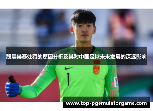 魏震禁赛处罚的原因分析及其对中国足球未来发展的深远影响