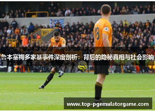 鲁本塞梅多家暴事件深度剖析：背后的隐秘真相与社会影响