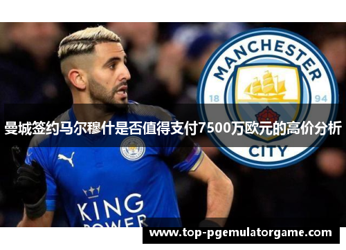 曼城签约马尔穆什是否值得支付7500万欧元的高价分析